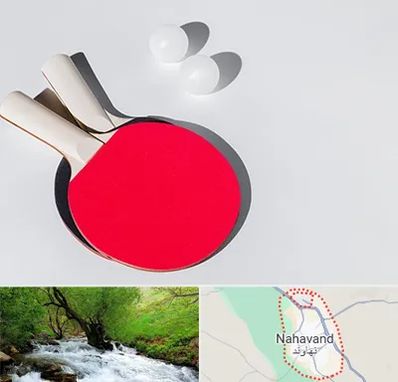 باشگاه پینگ پنگ در نهاوند