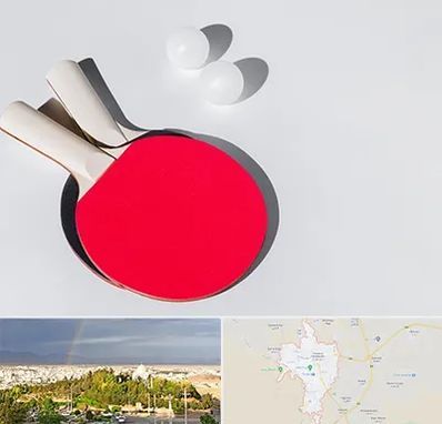باشگاه پینگ پنگ در تربت حیدریه