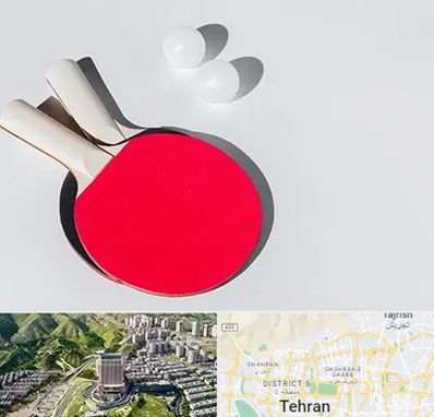 باشگاه پینگ پنگ در شمال تهران 