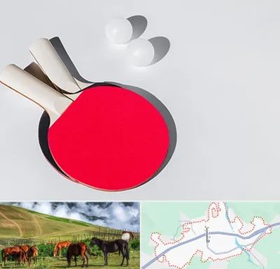 باشگاه پینگ پنگ در تالش