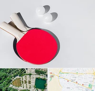 باشگاه پینگ پنگ در وکیل آباد مشهد 