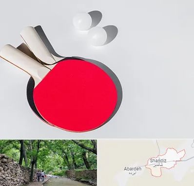 باشگاه پینگ پنگ در شاندیز مشهد