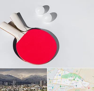 باشگاه پینگ پنگ در منطقه 4 تهران 