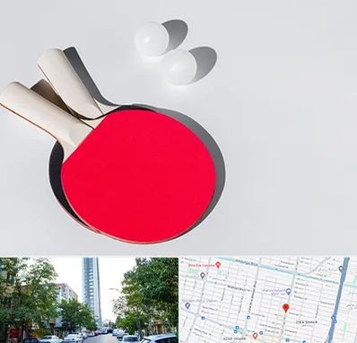 باشگاه پینگ پنگ در امامت مشهد 