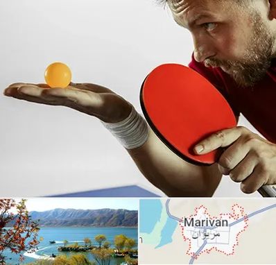 آموزش پینگ پنگ در مریوان