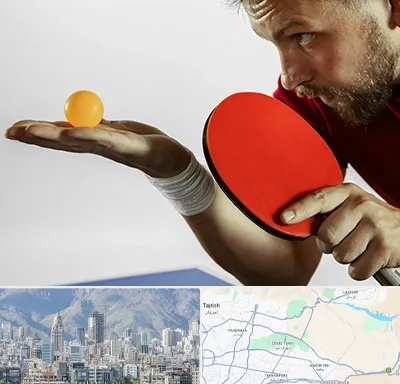 آموزش پینگ پنگ در شمال شرق تهران