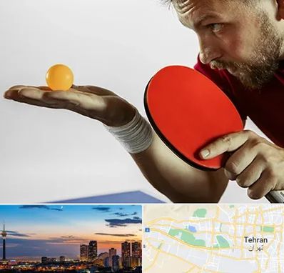 آموزش پینگ پنگ در غرب تهران 