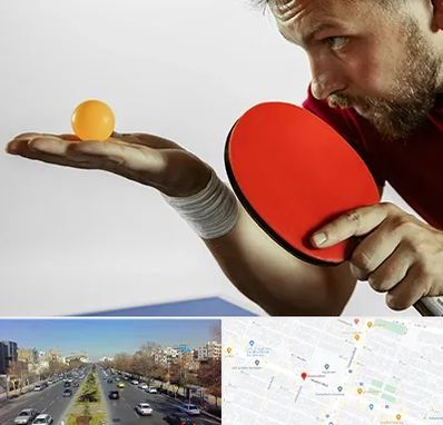 آموزش پینگ پنگ در بلوار معلم مشهد 