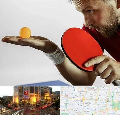 آموزش پینگ پنگ در جنت آباد تهران 