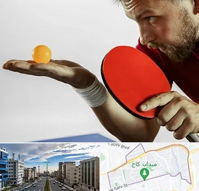 آموزش پینگ پنگ در سعادت آباد 