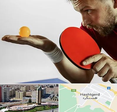 آموزش پینگ پنگ در هشتگرد