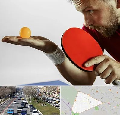 آموزش پینگ پنگ در احمدآباد مشهد 