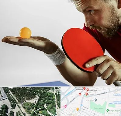 آموزش پینگ پنگ در سالاریه قم