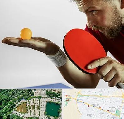 آموزش پینگ پنگ در وکیل آباد مشهد 