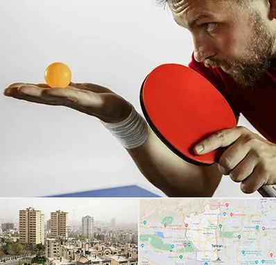 آموزش پینگ پنگ در منطقه 5 تهران 