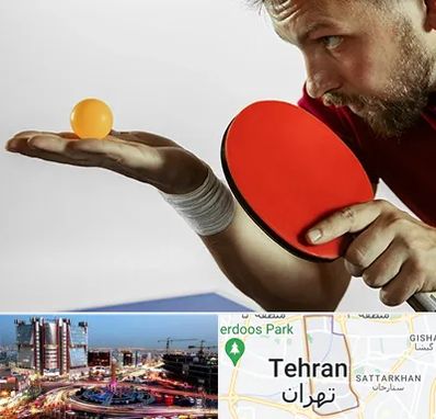 آموزش پینگ پنگ در صادقیه 