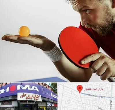 آموزش پینگ پنگ در امین حضور