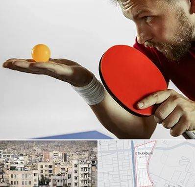 آموزش پینگ پنگ در اسکندری