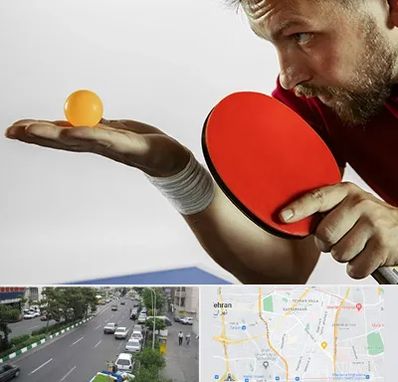 آموزش پینگ پنگ در ستارخان 