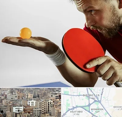 آموزش پینگ پنگ در جنوب شرق تهران