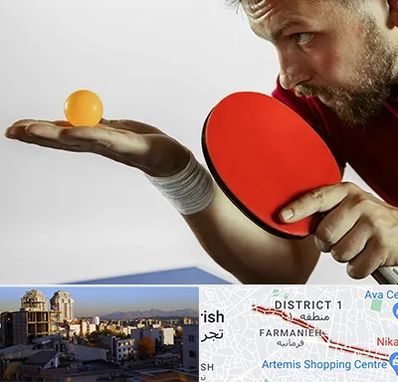 آموزش پینگ پنگ در فرمانیه 