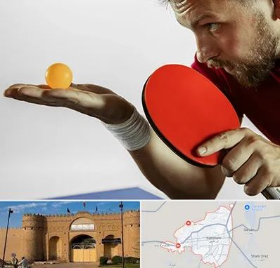 آموزش پینگ پنگ در ایرانشهر