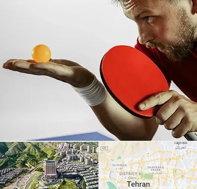 آموزش پینگ پنگ در شمال تهران 