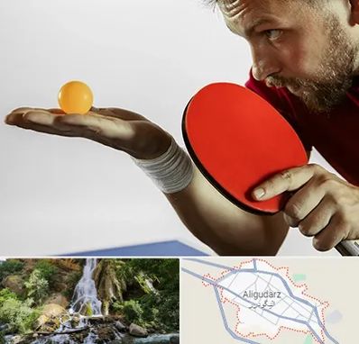 آموزش پینگ پنگ در الیگودرز