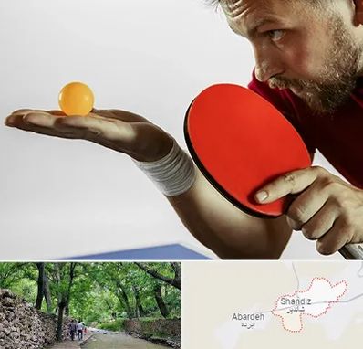 آموزش پینگ پنگ در شاندیز مشهد