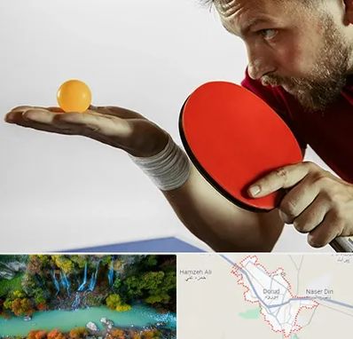 آموزش پینگ پنگ در دورود