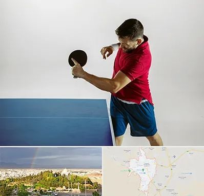 سالن تنیس روی میز در تربت حیدریه