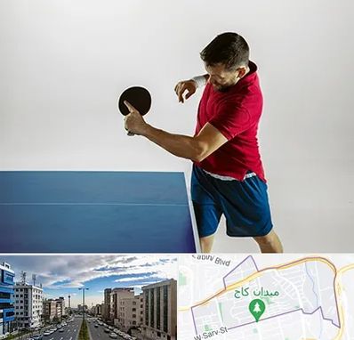 سالن تنیس روی میز در سعادت آباد 
