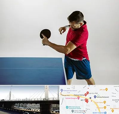 سالن تنیس روی میز در پارک وی 