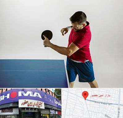 سالن تنیس روی میز در امین حضور