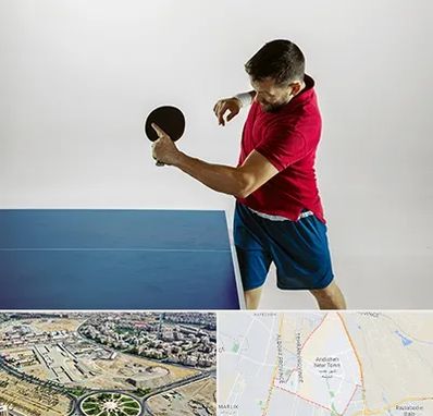 سالن تنیس روی میز در اندیشه