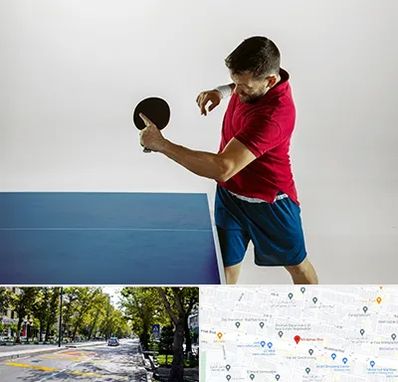 سالن تنیس روی میز در میرداماد 