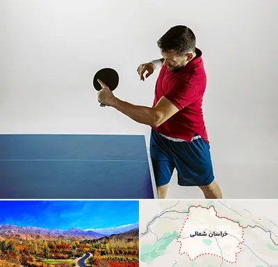 سالن تنیس روی میز در خراسان شمالی