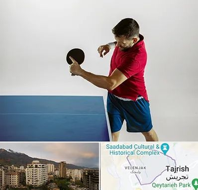 سالن تنیس روی میز در زعفرانیه 