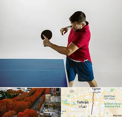 سالن تنیس روی میز در ولیعصر 