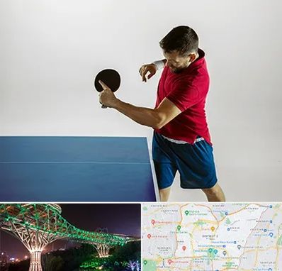 سالن تنیس روی میز در منطقه 3 تهران 