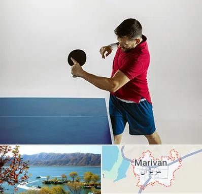 سالن تنیس روی میز در مریوان
