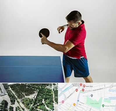 سالن تنیس روی میز در سالاریه قم