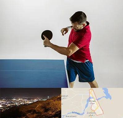 سالن تنیس روی میز در میناب