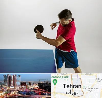 سالن تنیس روی میز در صادقیه 