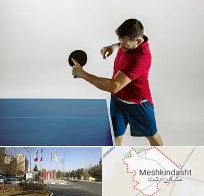 سالن تنیس روی میز در مشکین دشت