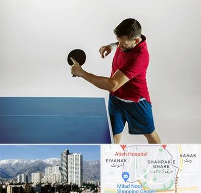 سالن تنیس روی میز در شهرک غرب 