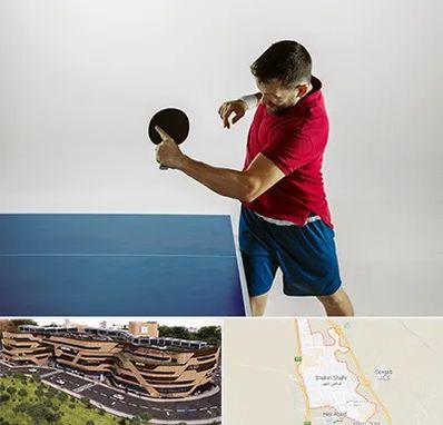 سالن تنیس روی میز در شاهین شهر