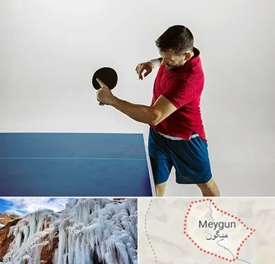 سالن تنیس روی میز در میگون