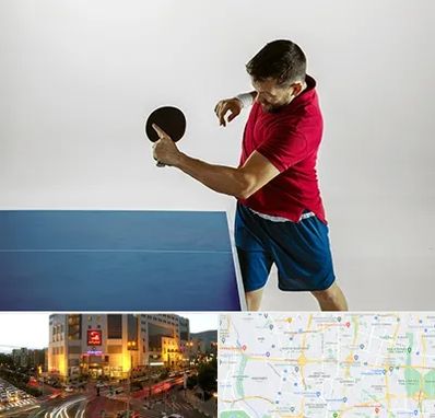 سالن تنیس روی میز در جنت آباد تهران 