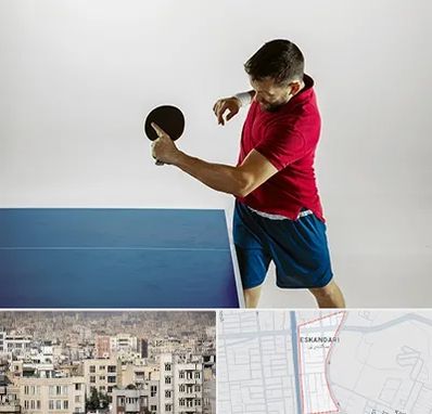 سالن تنیس روی میز در اسکندری